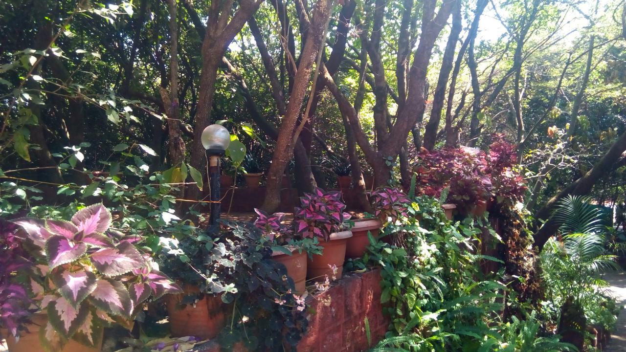 Hotel Tree Top Mahabaleshwar Exterior photo