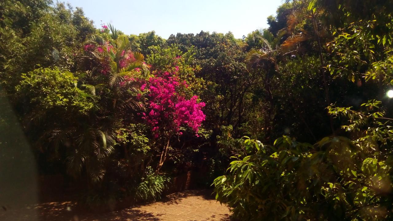 Hotel Tree Top Mahabaleshwar Exterior photo