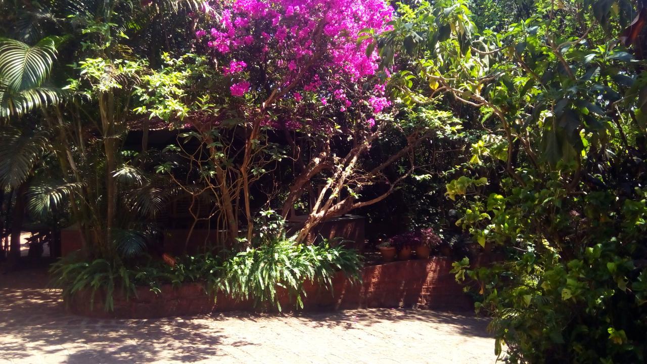 Hotel Tree Top Mahabaleshwar Exterior photo