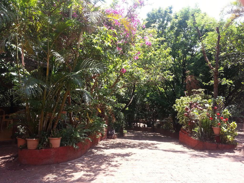 Hotel Tree Top Mahabaleshwar Exterior photo