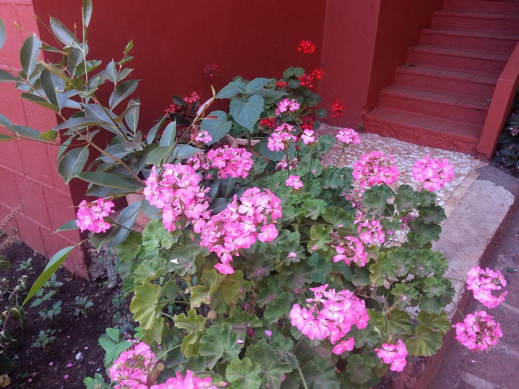 Hotel Tree Top Mahabaleshwar Exterior photo